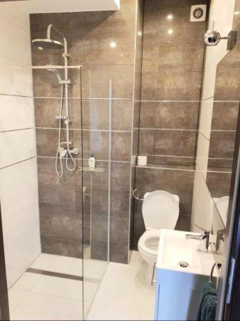 Apartamenty Mila Zabrze Habitación foto